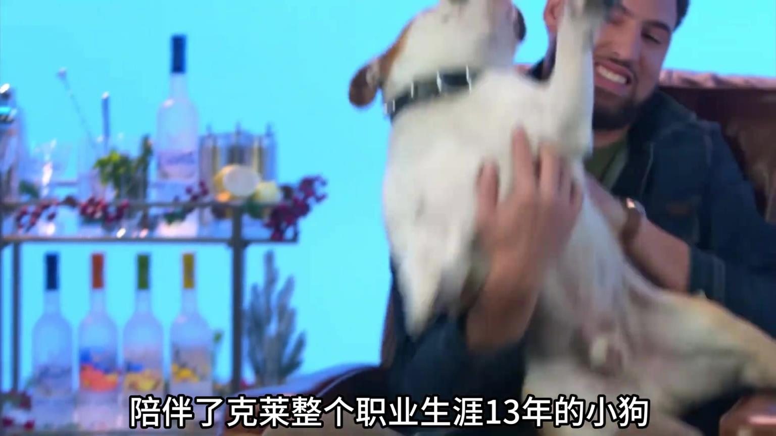 陪伴克萊13年的小狗去世了，不敢相信克萊得多么傷心